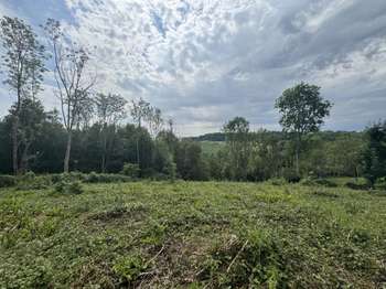 Photo Vente de terrain Le Mesnil-Simon