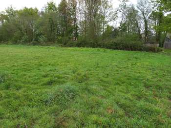 Vente de terrain