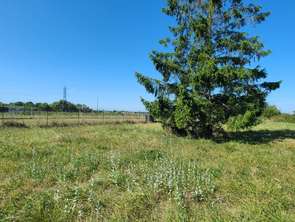 Vente Terrain 553 m&sup2;Le Pallet