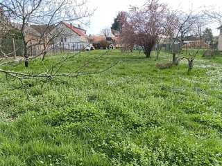 Vente de terrain