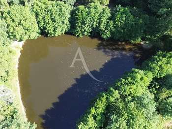 Vente Terrain 5292 m&sup2;Le Poiré-sur-Vie