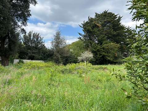 Vente de terrain