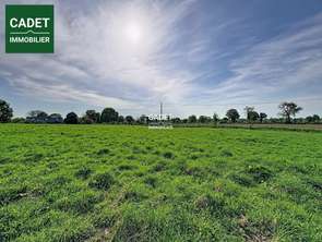 Vente Terrain 3840 m&sup2;Le Tanu