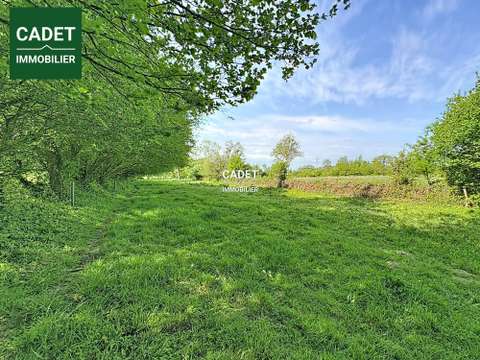 Vente de terrain Le Tanu 50