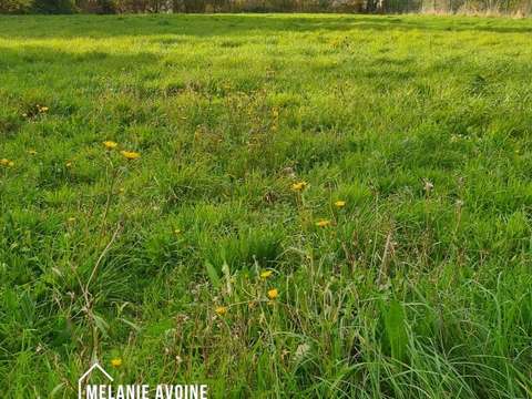 Vente de terrain Le Thou 17