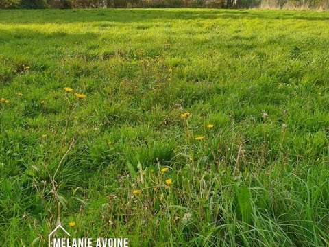 Vente de terrain Le Thou 17