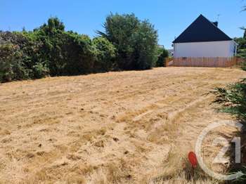 Vente de terrain