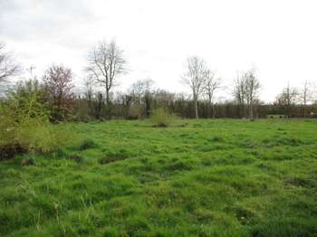 Vente de terrain