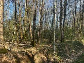 Vente Terrain 16366 m&sup2;Le Vieil-Baugé