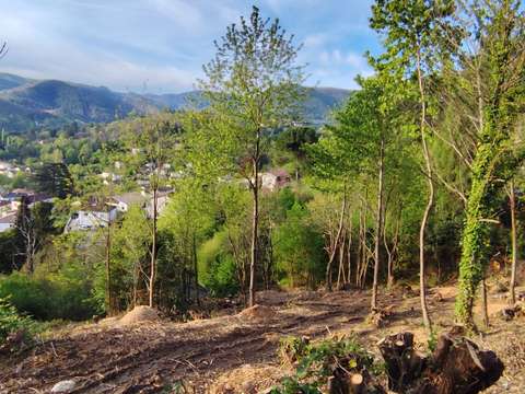 Vente de terrain Le Vigan 30