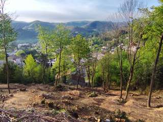 Vente de terrain