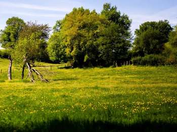 Vente de terrain