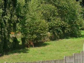 Vente Terrain 1115 m&sup2;Lécousse