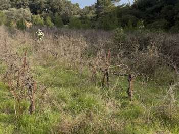 Vente de terrain