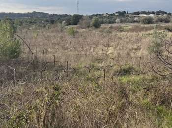 Vente de terrain