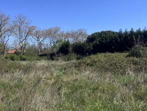 Vente Terrain 1274 m&sup2;Léguevin