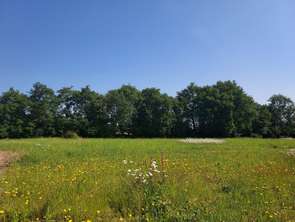 Vente Terrain 356 m&sup2;Les Achards