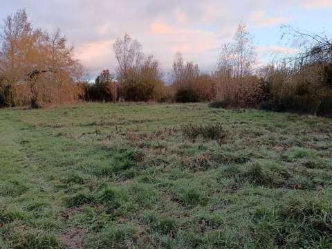 Vente de terrain Les Aubiers 79