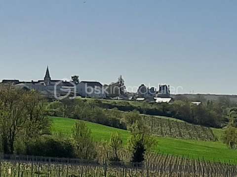 Vente de terrain Les Garennes-sur-Loire 49