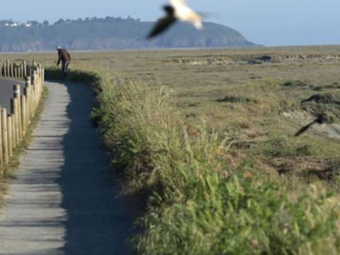 Vente de terrain Les greves-langueux 22