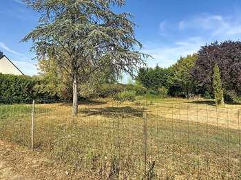 Vente de terrain Les Hauts d'Anjou 49