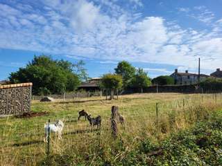 Vente de terrain