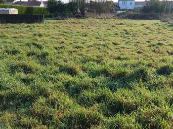 Vente de terrain