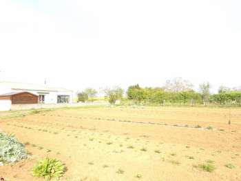 Vente de terrain