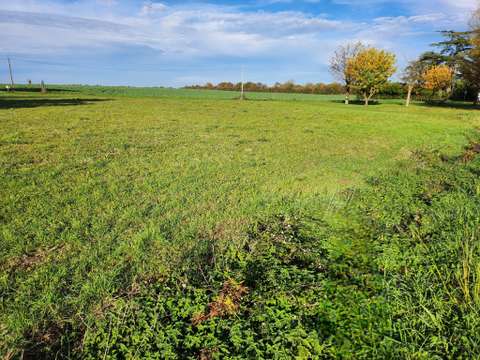 Vente de terrain Les Magnils-Reigniers 85