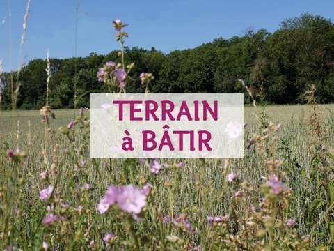 Vente de terrain Les Moitiers-d'Allonne 50