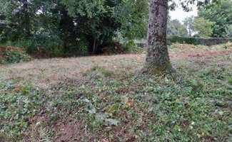 Photo Vente de terrain Les Monts-d'Andaine
