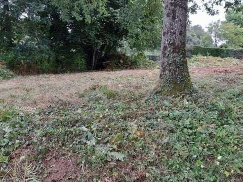 Vente de terrain Les Monts-d'Andaine 61