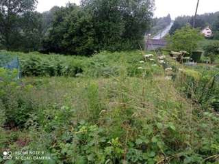 Vente de terrain