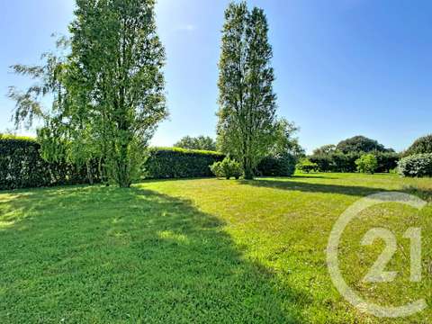 Vente de terrain