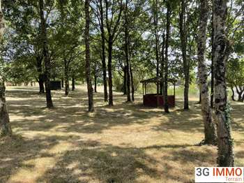 Vente Terrain 20903 m&sup2;Les Pineaux