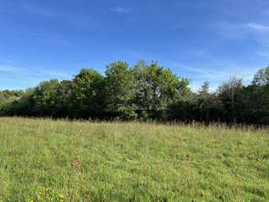 Vente Terrain 1784 m&sup2;Les Sables-d'Olonne