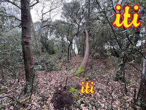 Vente Terrain 707 m&sup2;Les Sables-d'Olonne