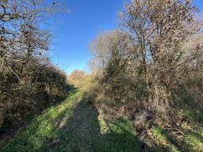 Vente Terrain 2100 m&sup2;Les Sables-d'Olonne