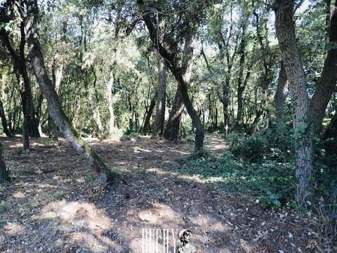 Vente de terrain Les Sables-d'Olonne 85