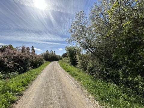 Vente de terrain Les Sables-d'Olonne 85