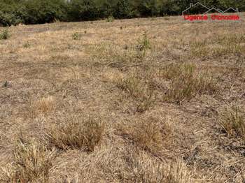 Vente Terrain 1284 m&sup2;Les Sables-d'Olonne