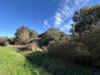 Vente de terrain