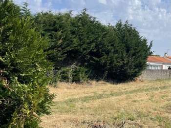 Vente Terrain 525 m&sup2;Les Sorinières