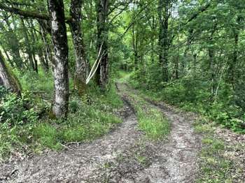 Vente Terrain 8500 m&sup2;Lescure-d'Albigeois