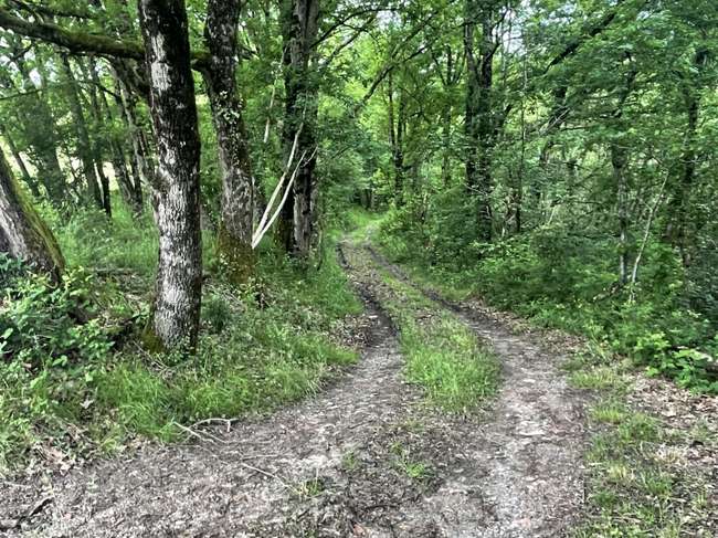 Terrain 8500 m² · à Lescure-d'Albigeois · 8 500 m² · 160 000 €