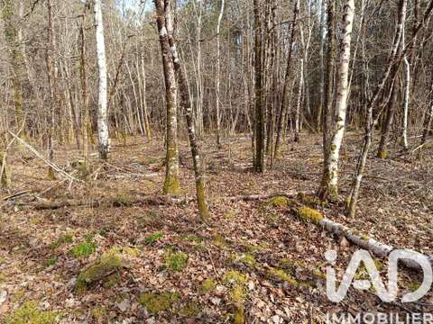 Vente de terrain Lesparre-Médoc 33