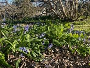 Vente Terrain 430 m&sup2;Libourne