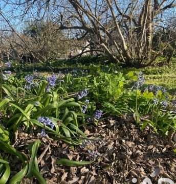 Vente de terrain Libourne 33