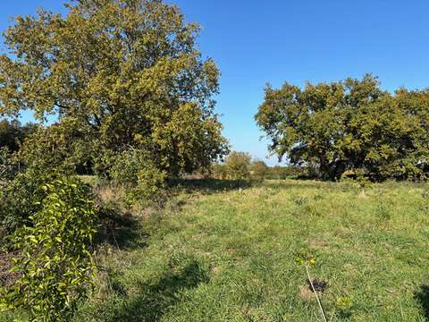 Vente de terrain Ligné 44