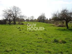 Vente Terrain 2750 m&sup2;Limerzel